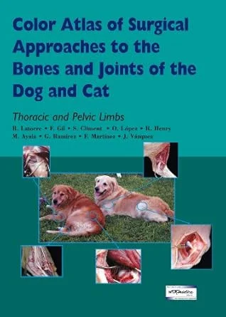 americanbookwarehouse10-890488