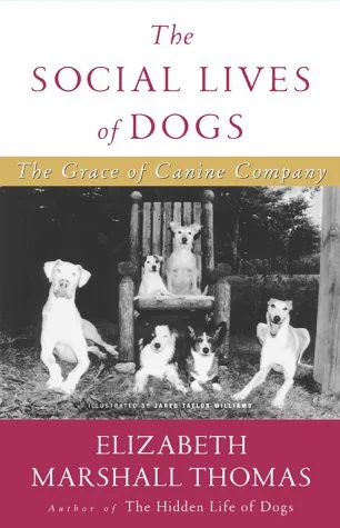 americanbookwarehouse10-893657