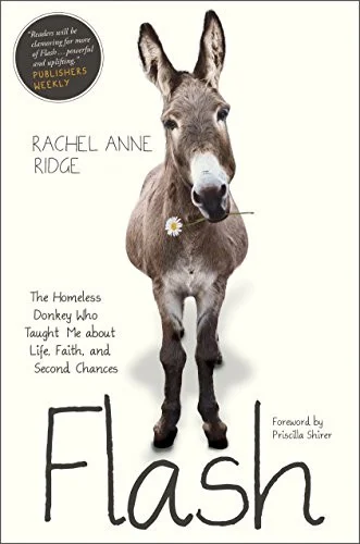 americanbookwarehouse10-894095