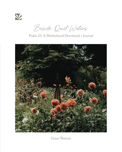 americanbookwarehouse10-917913