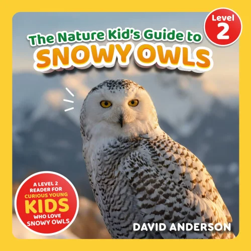 americanbookwarehouse11-1088858