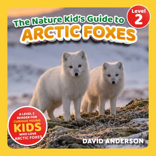 americanbookwarehouse11-1088859