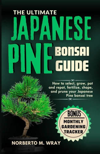 americanbookwarehouse11-1102882
