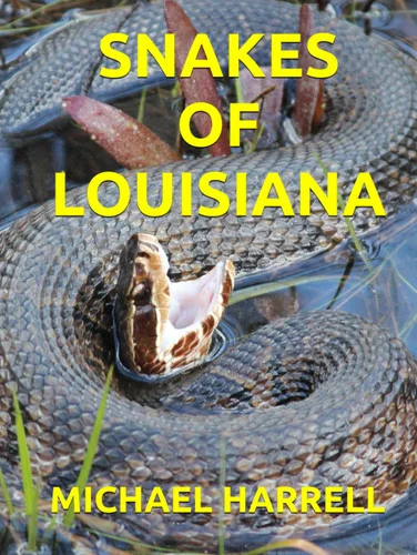americanbookwarehouse11-1104552