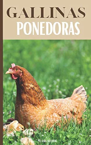 americanbookwarehouse11-1115277