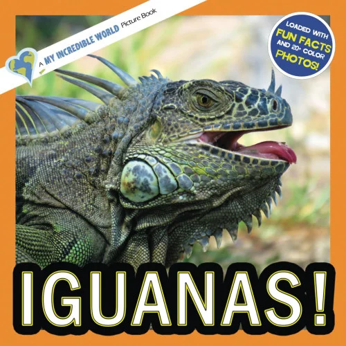americanbookwarehouse11-1122551