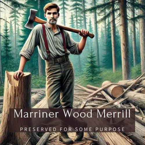 americanbookwarehouse11-1132578