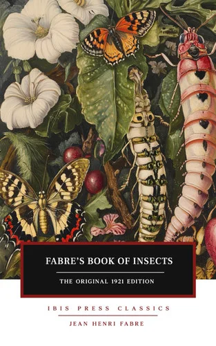 americanbookwarehouse11-1133722
