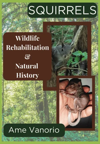 americanbookwarehouse11-1134187