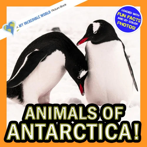 americanbookwarehouse11-1139242