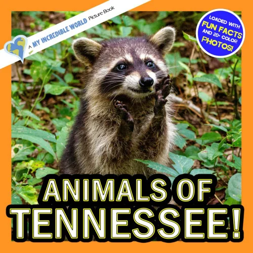 americanbookwarehouse11-1142072