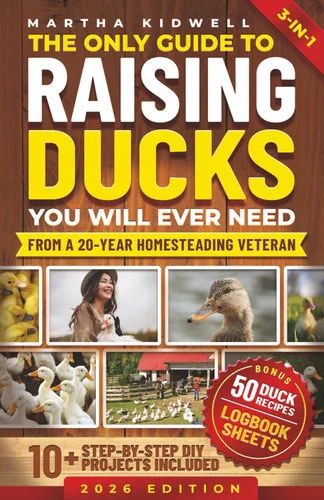 americanbookwarehouse12-1781918