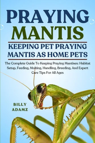 americanbookwarehouse12-1787752