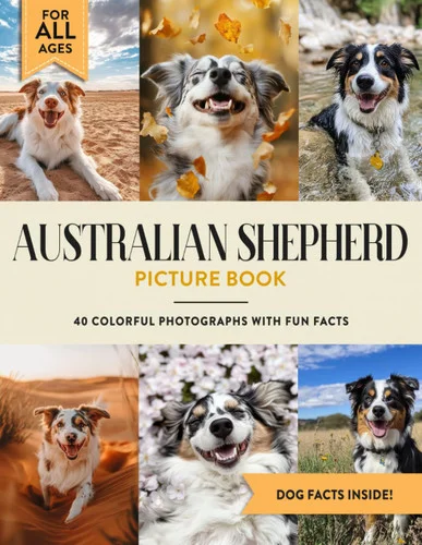 americanbookwarehouse12-1797329