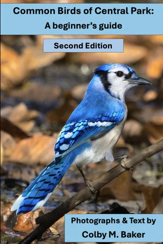 americanbookwarehouse12-1800247