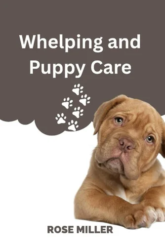 americanbookwarehouse12-1805246