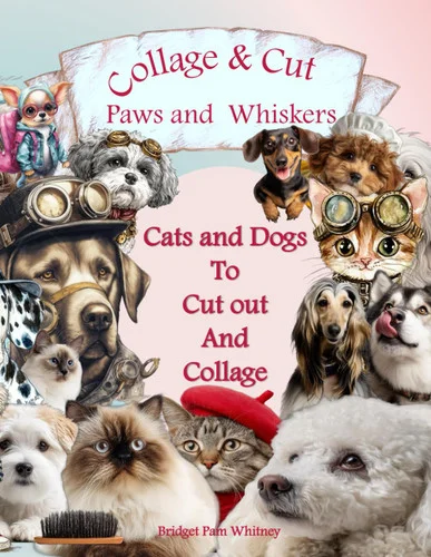 americanbookwarehouse12-1805885