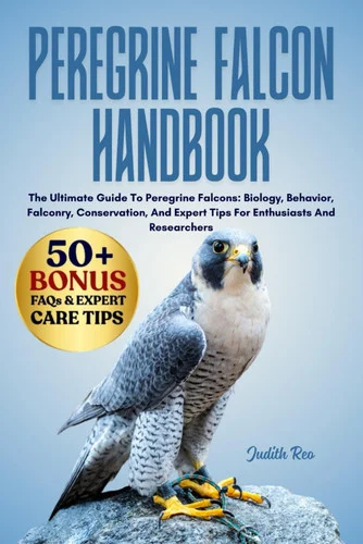 americanbookwarehouse12-1815347