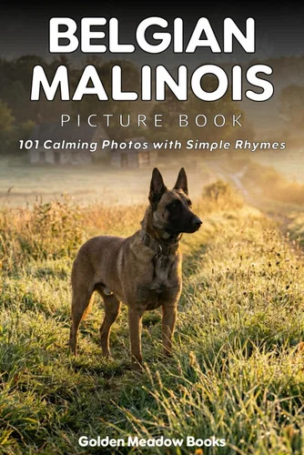 americanbookwarehouse12-1827775