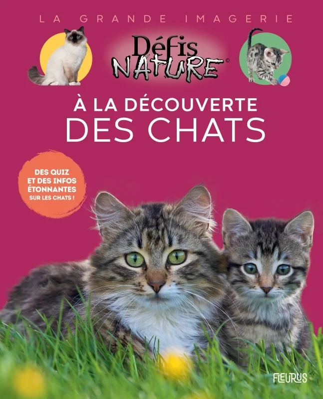antoineonline8-1263207