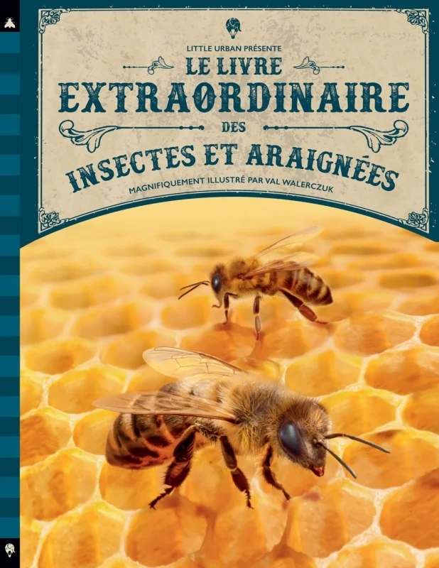 antoineonline9-1360087