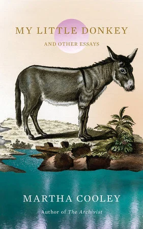 bookcellarinc5-1382830