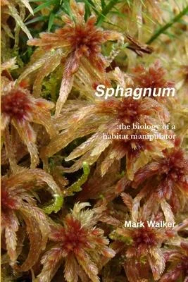 discountmags10-1419282
