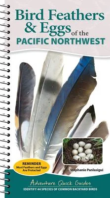 discountmags14-1724957