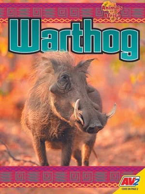 discountmags14-1752480