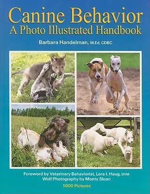 discountmags15-1728551