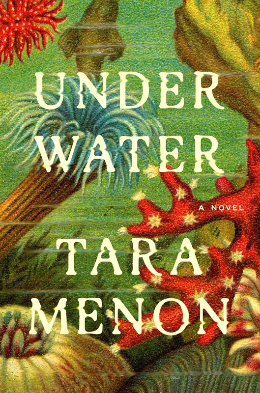 tatteredcover171243467