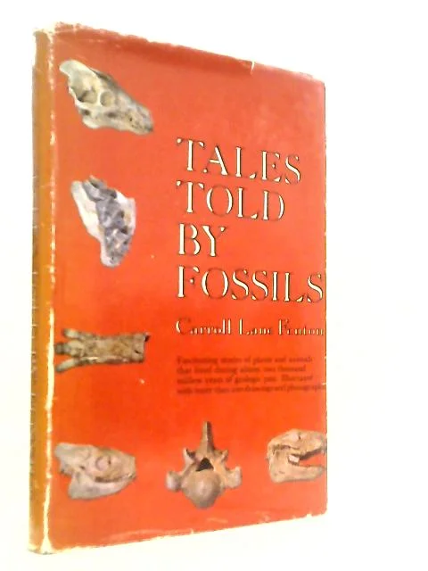 worldofbooks19-1556063
